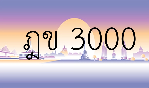 ฎข 3000